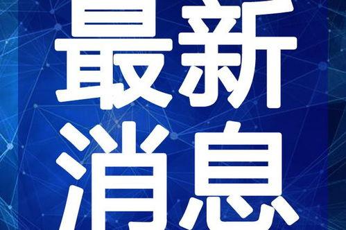 彝良媒体爆料新闻最新视频,视频揭露惊人真相!